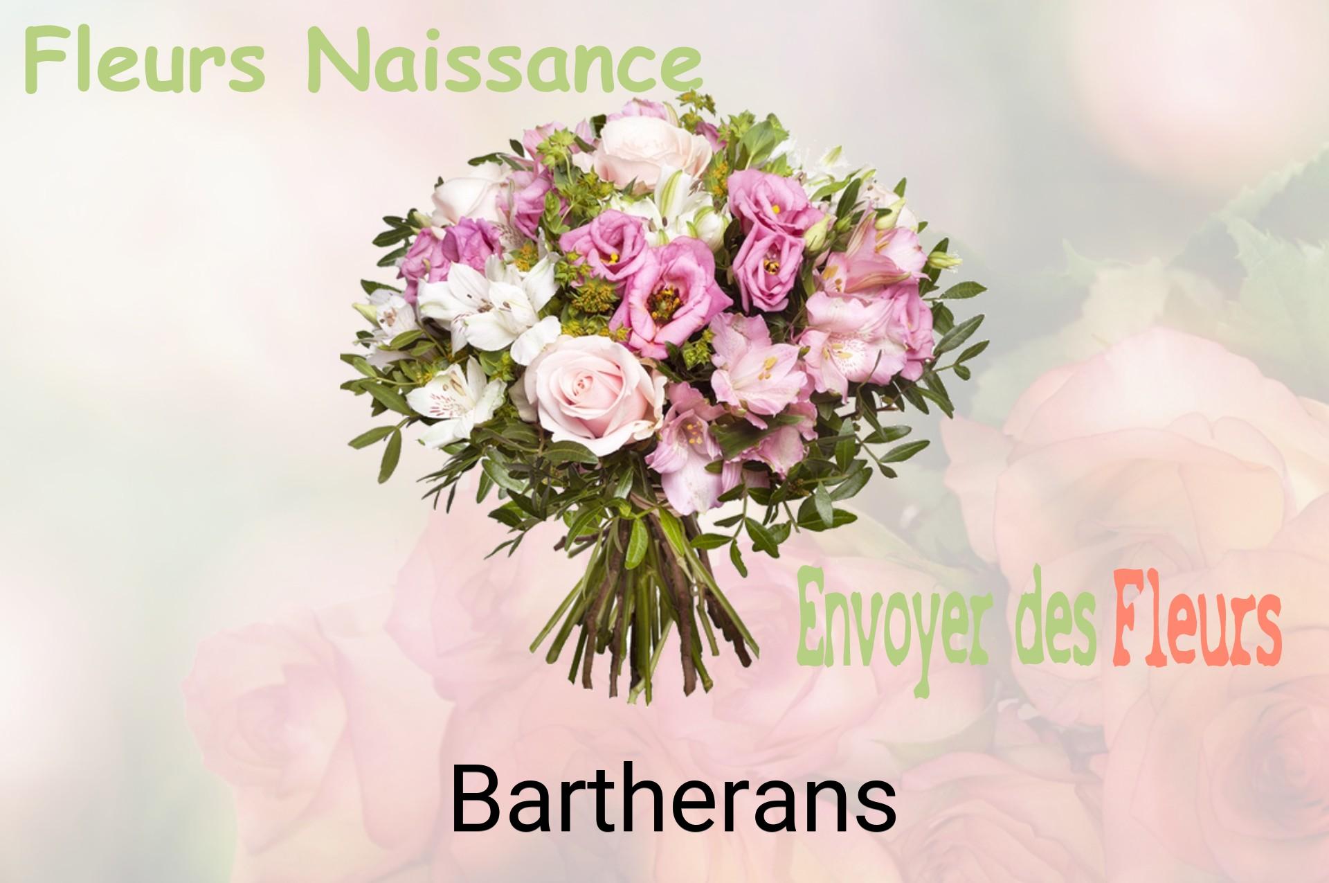 Bouquet de fleurs de naissance livré à Bartherans